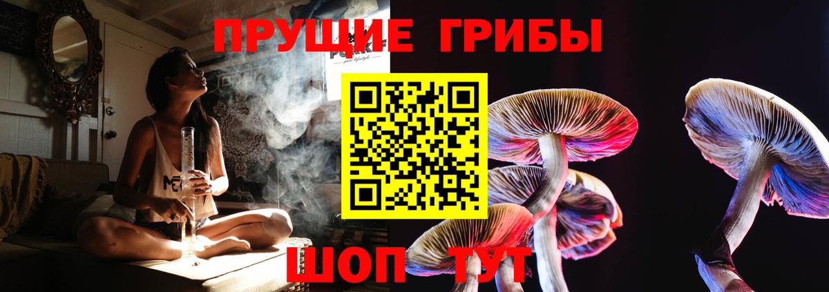 где купить наркотик  Галлюциногенные грибы прущие грибы  Вход с VPN  Дятьково 